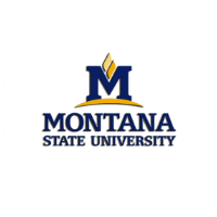 Montana State University logo